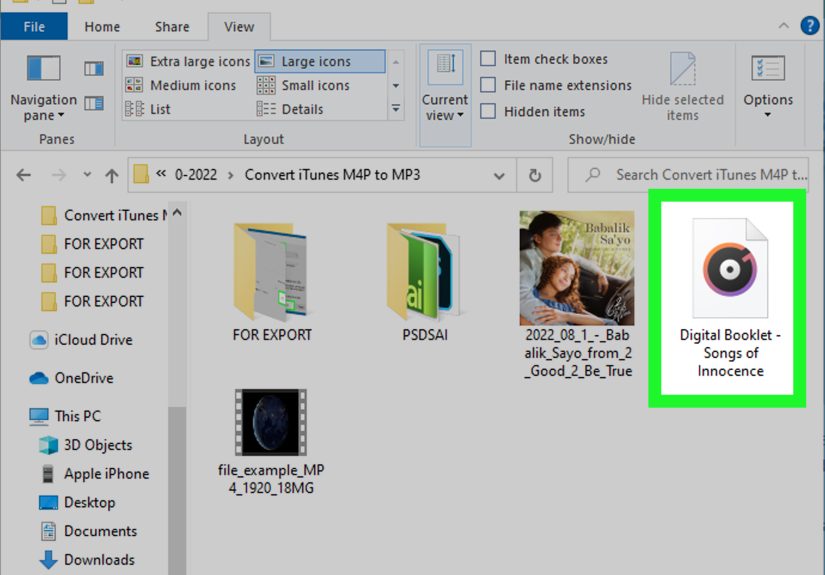 How to Convert iTunes M4P Songs to MP3: Windows and Mac
