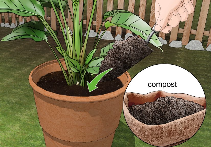 How to Fill a Tall Planter