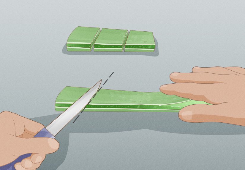 How to Harvest Aloe: 8 Steps