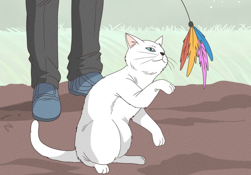 How to Keep a Cat from Running Away when It Is Moved: 14 Steps