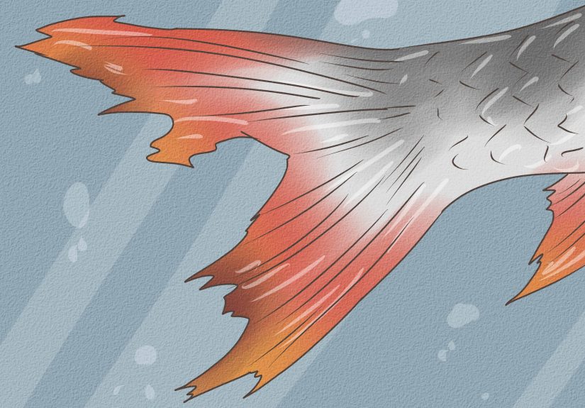 How to Keep Your Fish from Dying: 12 Steps