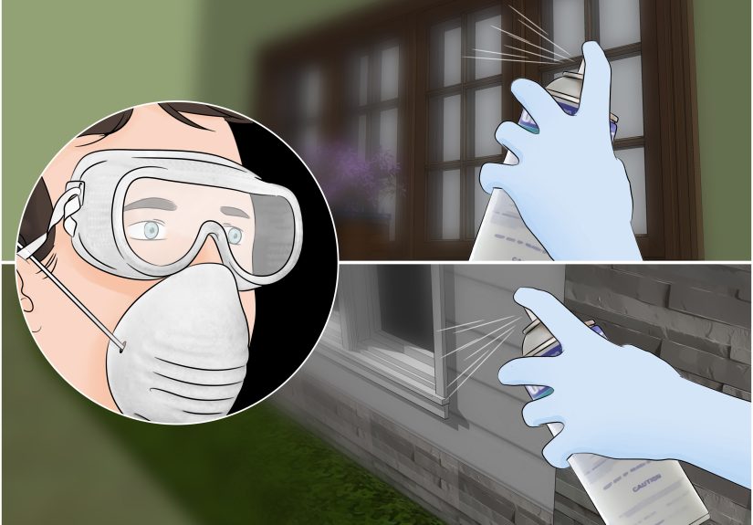 How to Make a DIY Flea Trap: Natural Pest Solution