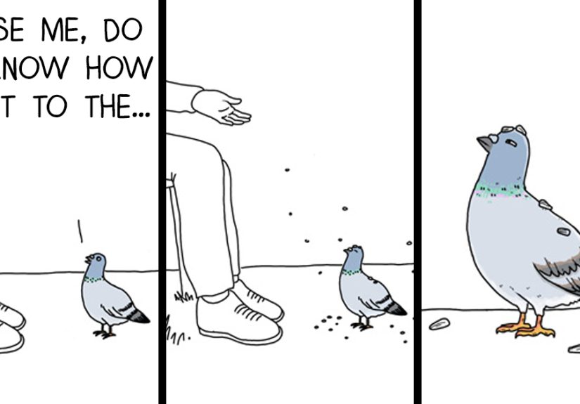 I Show What Birds Would Say If They Could Talk (26 Pics)