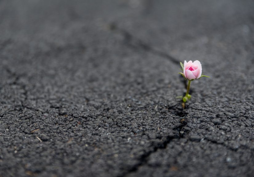 My "Dig Deep Button" Is Officially Out of Service