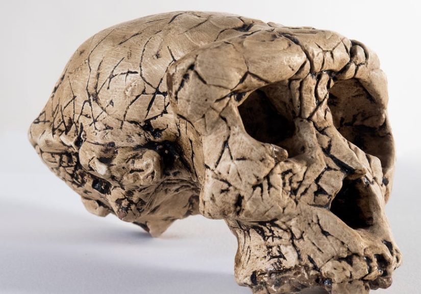 Scientists Found an Ancient Population Missing a Common Thread of DNA