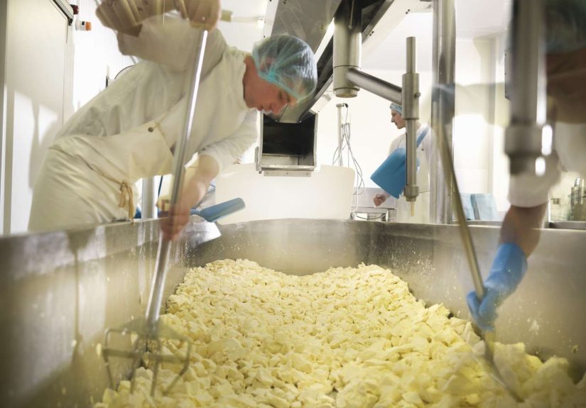Six Important Steps in Cheesemaking