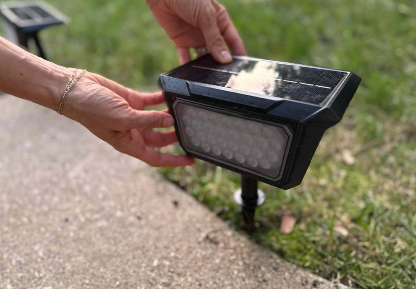 The 9 Best Solar Pathway Lights, Tested and Reviewed