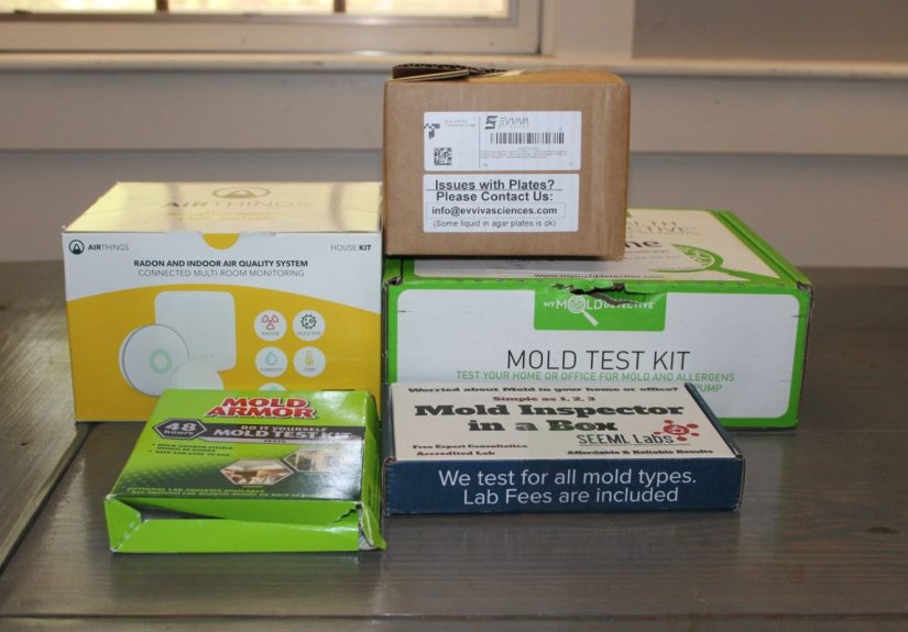 The Best Mold Test Kits of 2025 - Tested by Bob Vila