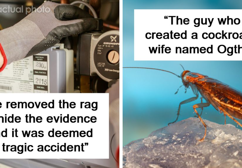 “The Coconut Oil Hair Story”: 30 Of The Darkest Stories People Have Posted Online