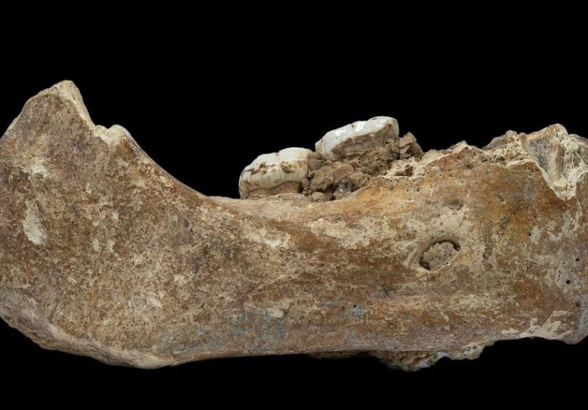 This Tibetan Bone Discovery Rewrites Ancient History