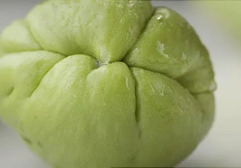 Video on Chayote Squash Health Benefits