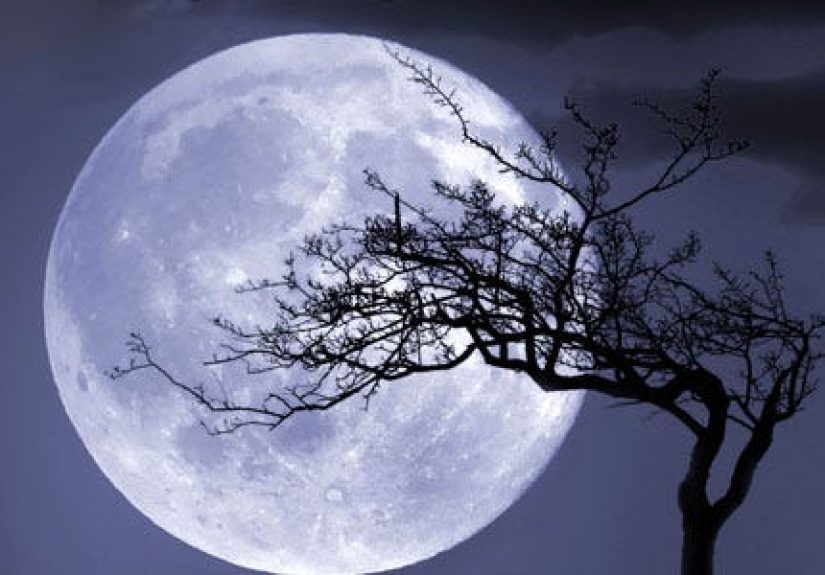 Worst Conspiracy Theories of All Time