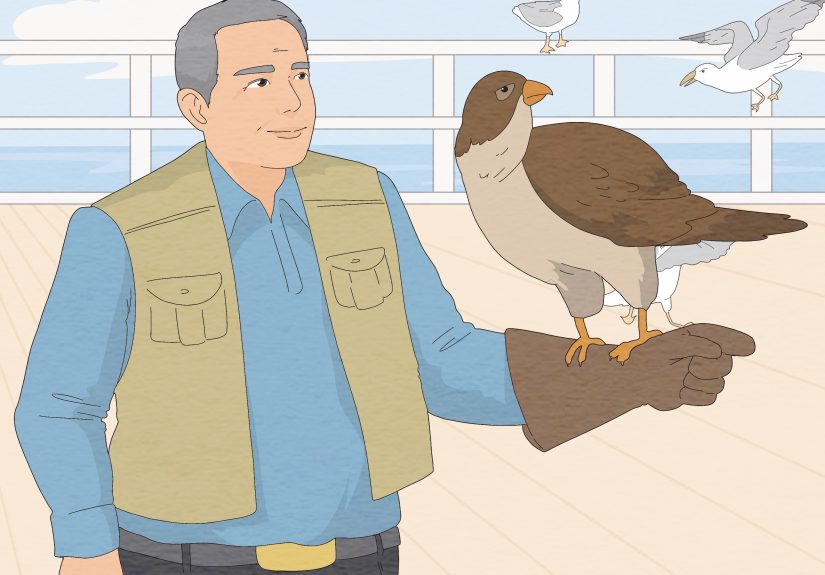 3 Easy Ways to Deal with Aggressive Seagulls