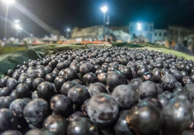 Acai berries: Health benefits, nutrition, diet, and risks