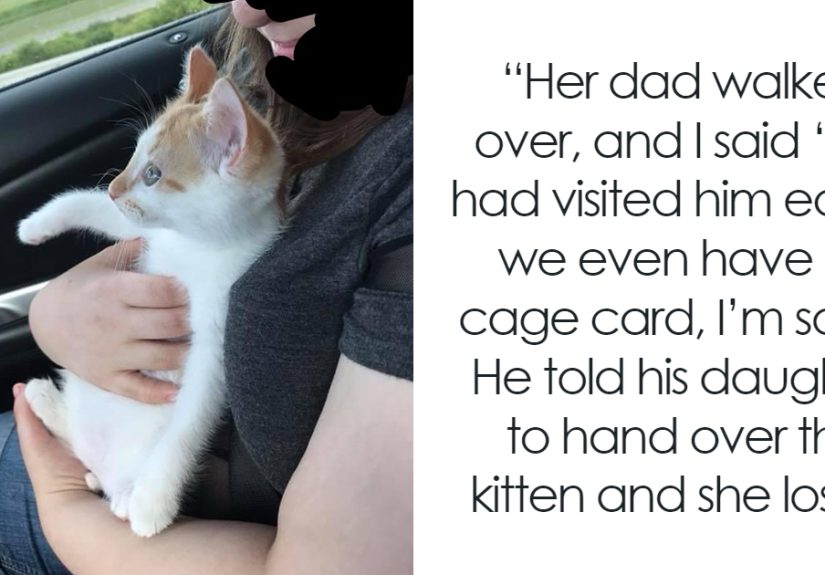 Girl Loses It When Woman Adopts A Cat She Wanted At The Shelter As Punishment For Torturing It