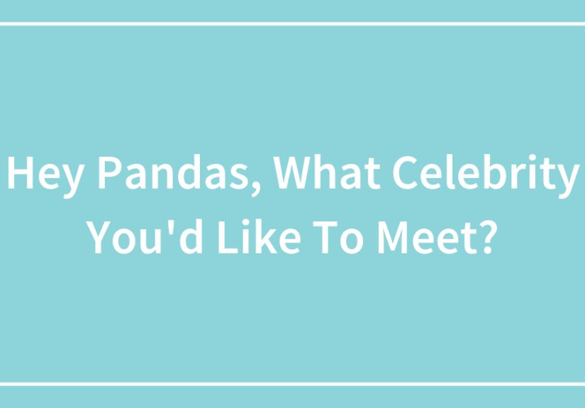 Hey Pandas, What Celebrity You’d Like To Meet?