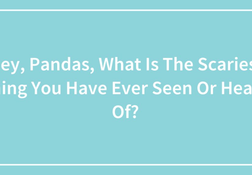 Hey, Pandas, What Is The Scariest Thing You Have Ever Seen Or Heard Of?