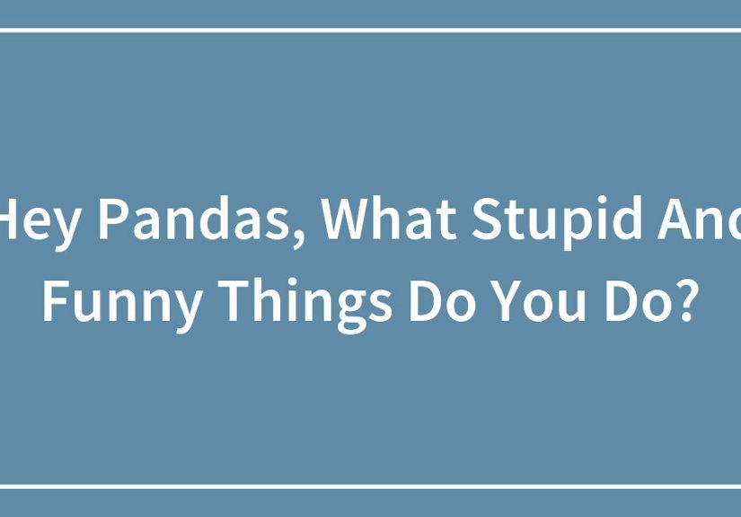 Hey Pandas, What Stupid And Funny Things Do You Do?