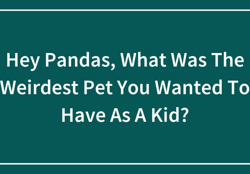 Hey Pandas, What Was The Weirdest Pet You Wanted To Have As A Kid?