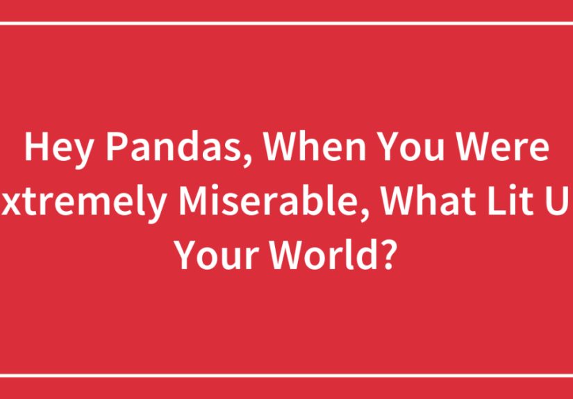 Hey Pandas, When You Were Extremely Miserable, What Lit Up Your World?