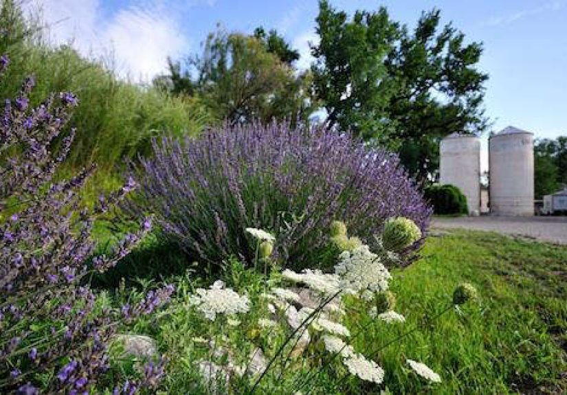 Hotels & Lodgings: Los Poblanos in New Mexico
