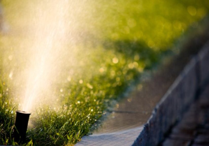 How to Adjust My Rain Bird Irrigation Heads