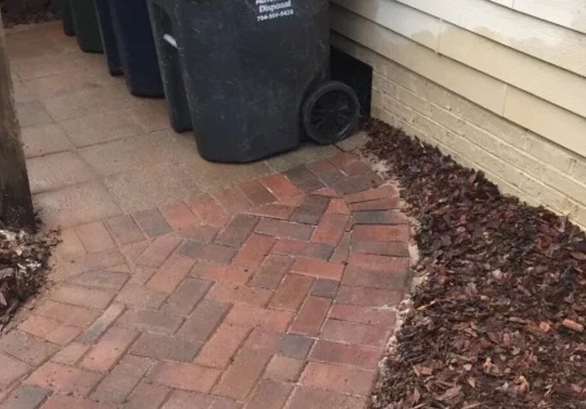 How to Keep Animals out of Garbage Cans