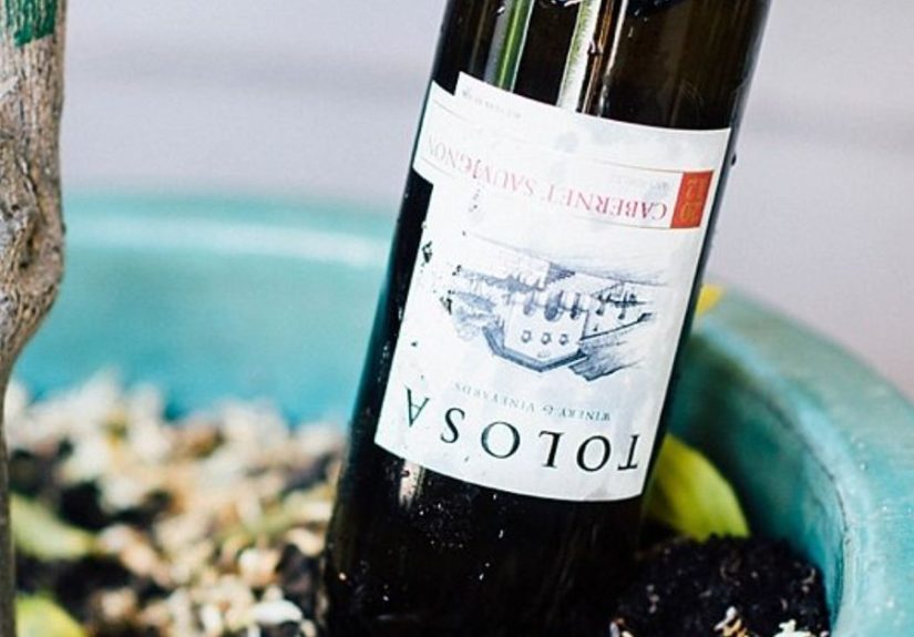 How to Make a DIY Wine Bottle Waterer for Potted Plants