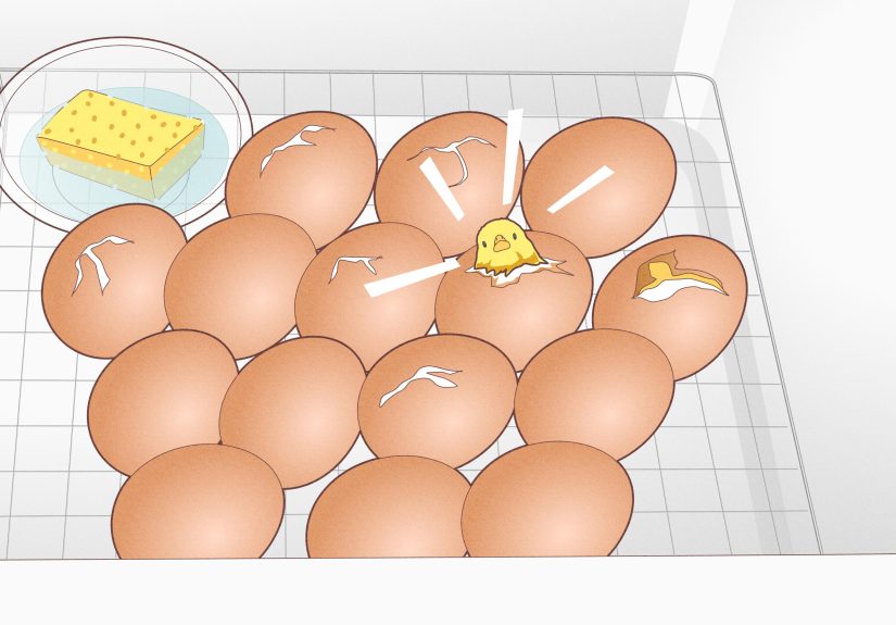 How to Make a Simple Homemade Incubator for Chicks: 11 Steps