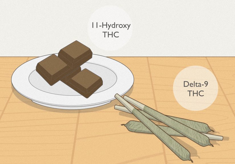 How to Make Weed Edibles: A Step-By-Step Guide