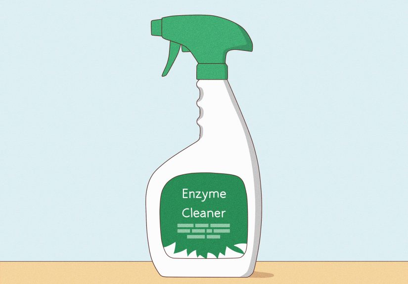 How to Remove Urine Stains from a Mattress: Old & New Stains