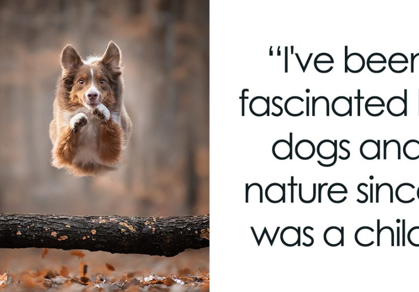 I Combined My Two Favorite Things, Dogs And Nature, To Create These Magical Photos (49 Pics)