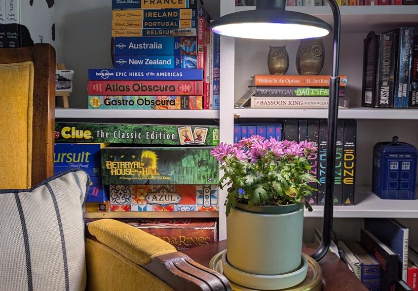 My Favorite AeroGarden Is Not a Garden - Bob Vila