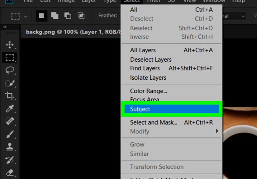 Photoshop Basics: How to Select and Adjust Pixels