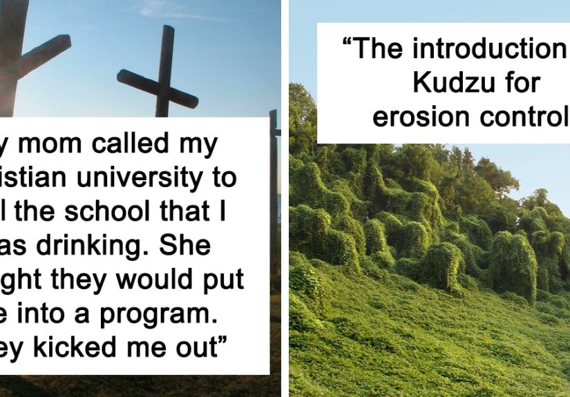 “The Road To Hell Is Paved With Good Intentions”: 30 Times People Wanted Nothing But Good Yet It All Ended Badly, As Told In This Online Group
