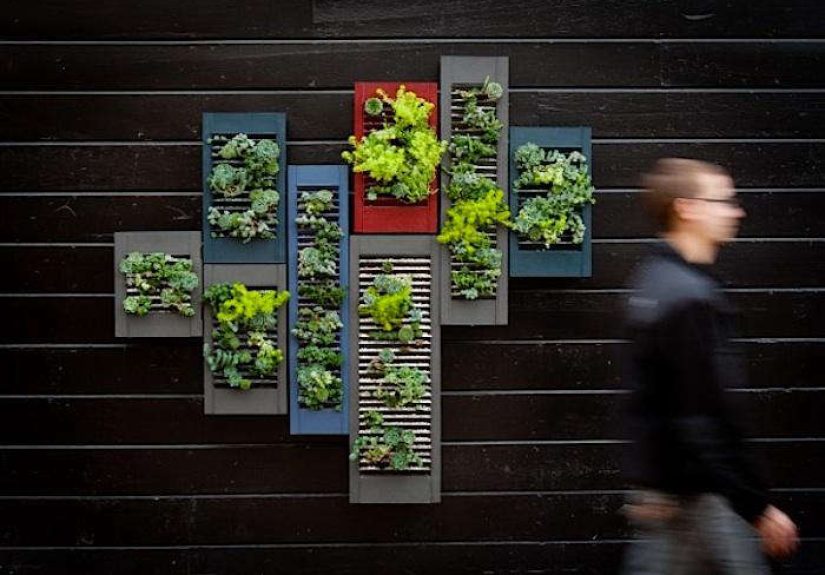 Vertical Gardens Made With