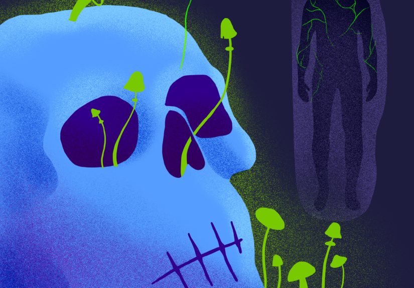 We Illustrated 9 Things You Can Do With Mushrooms Besides Eat Them