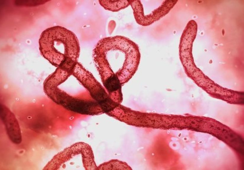 10 Diseases That Prevent Other Diseases