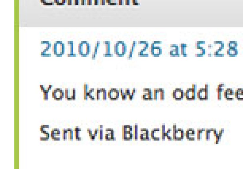 Best Spam Comment Ever