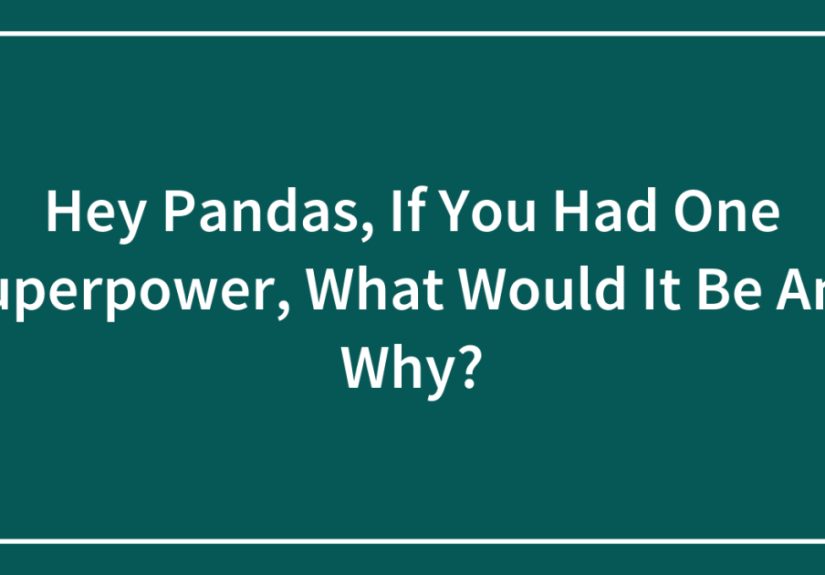 Hey Pandas, If You Had One Superpower, What Would It Be And Why?