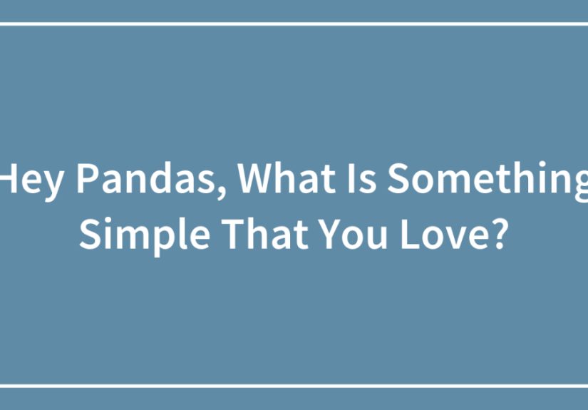 Hey Pandas, What Is Something Simple That You Love?