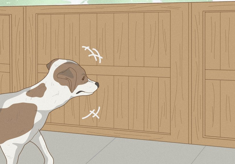 How to Get Rid of Dogs in Your Yard: 12 Effective Tips