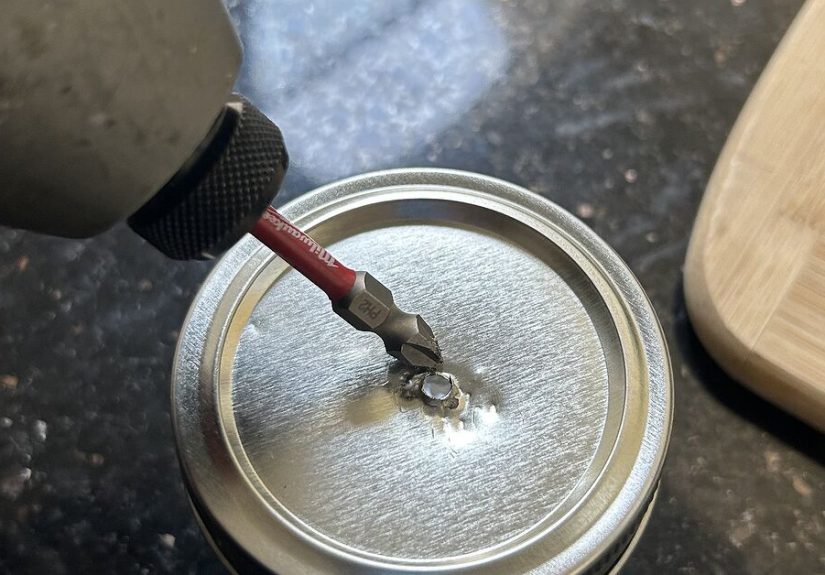 How to Propagate Rosemary: A Foolproof DIY Guide