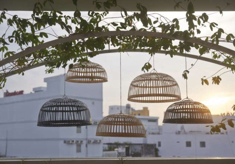 Nipprig 2015 Bamboo Shade