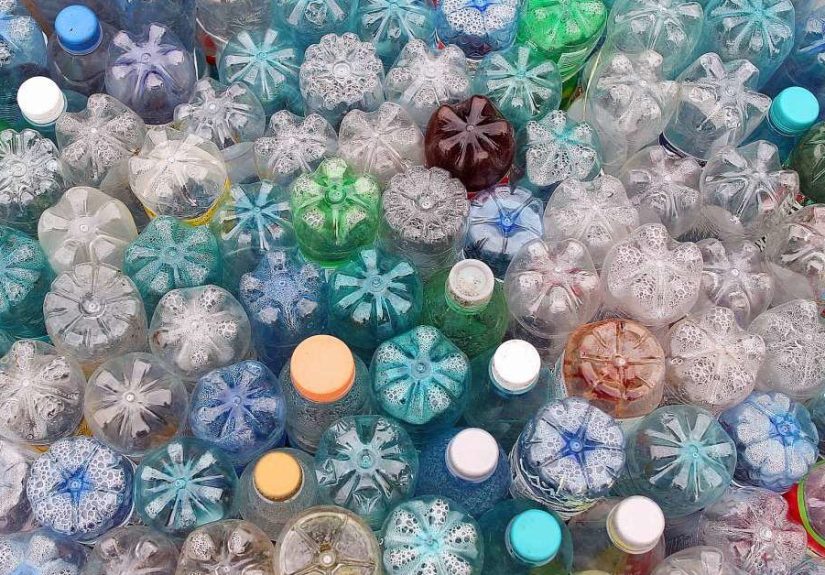 Why You Probably Have Microplastics in Your Poop