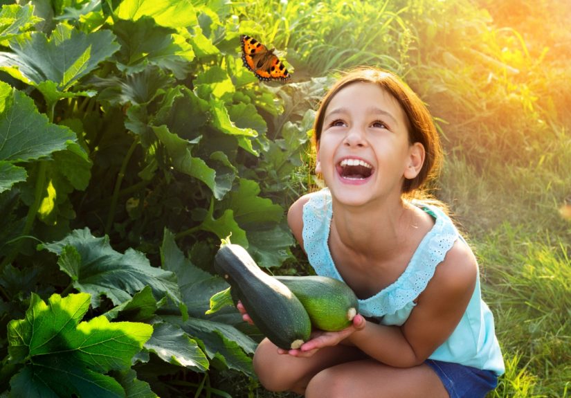 17 Beneficial Insects You Should Never Kill - Bob Vila