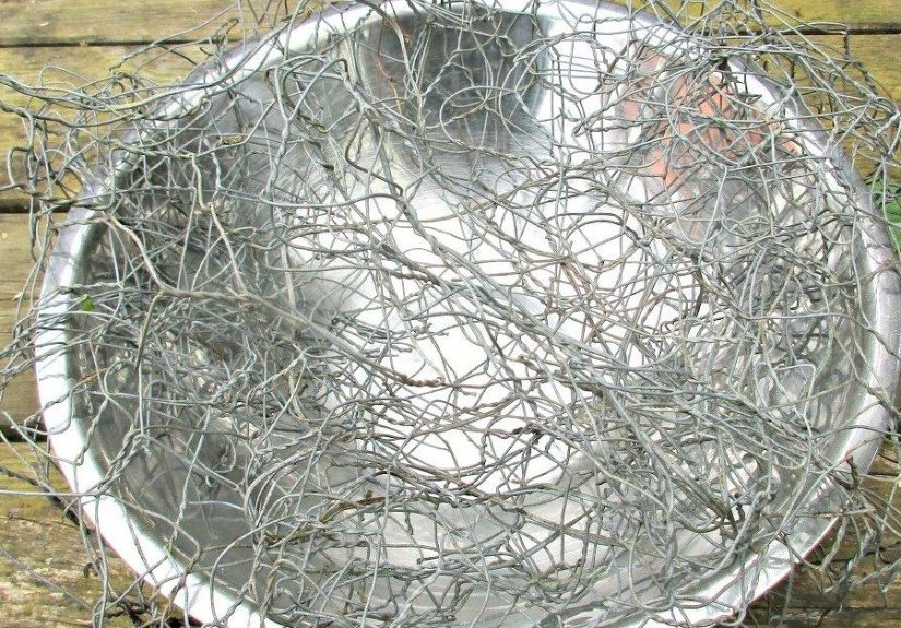 Chicken Wire and Moss Toadstool Living Sculpture