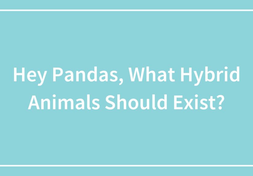 Hey Pandas, What Hybrid Animals Should Exist?