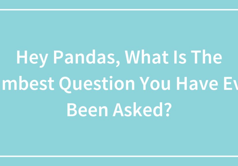 Hey Pandas, What Is The Dumbest Question You Have Ever Been Asked?