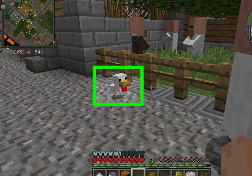 How to Get Eggs in Minecraft: 13 Steps